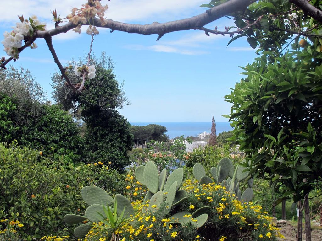 Aparthotel Villa Marinu Forio di Ischia エクステリア 写真